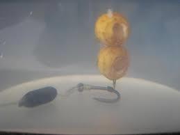 monturi crap 2 - images-26.jpg